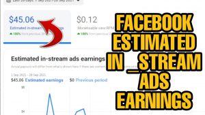 Earn from Facebook in stream Ads