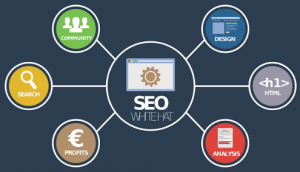 Free courses at home SEO online free course